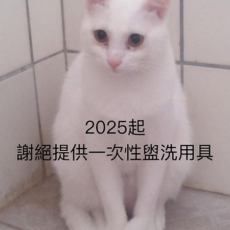 貓居 Ocean House Appartement Dahan Buitenkant foto